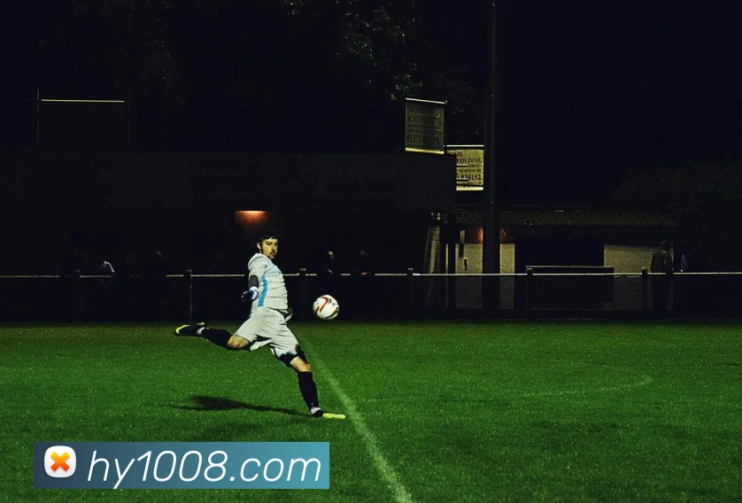 世界杯开户平台平台生态图